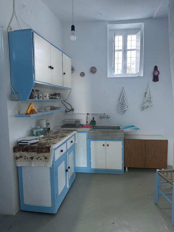 Cycladic House With Amazing View In Potamia Village Dio Choria Екстериор снимка